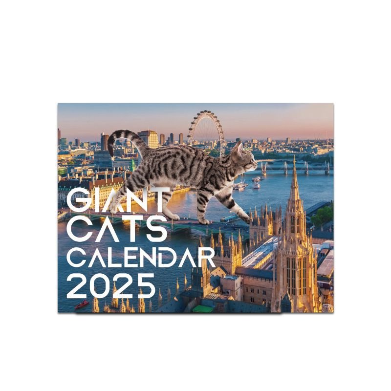 2025 Cartoon Creative City Cat Riding Nail Calendar